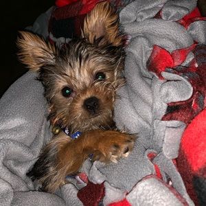 Meet your Posher, Angie